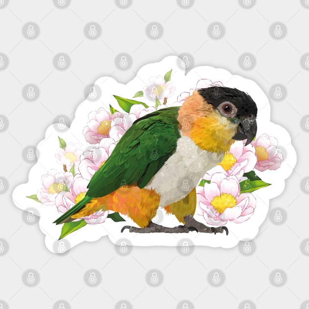 Caique Sticker by obscurite